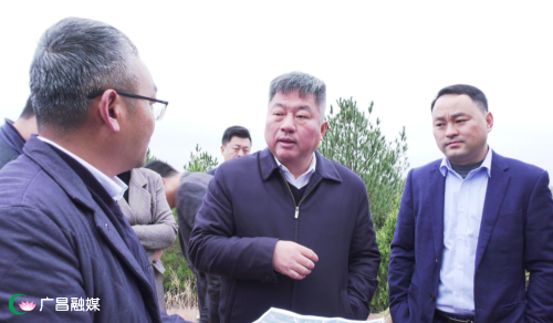 吴自胜调研建设用地规划,林长制,设施农业发展工作