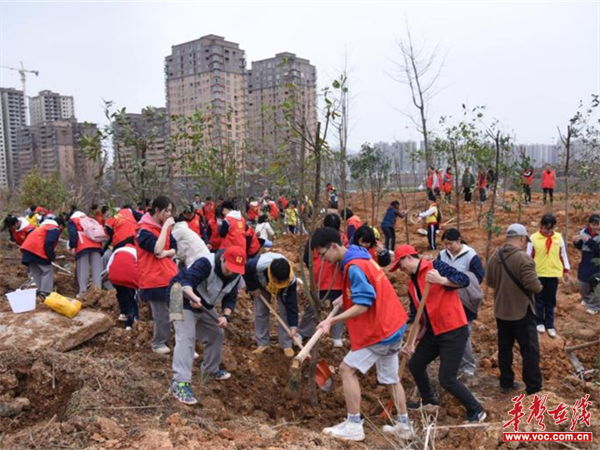 懷化市湖天中學:以志願