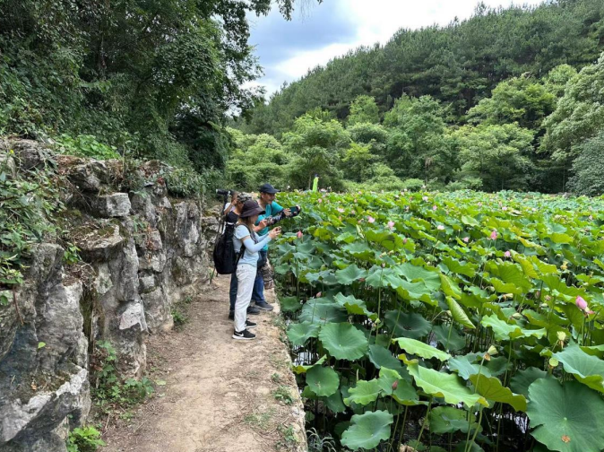 贵阳药用植物园出现珍稀并蒂莲!快来讨个好彩头
