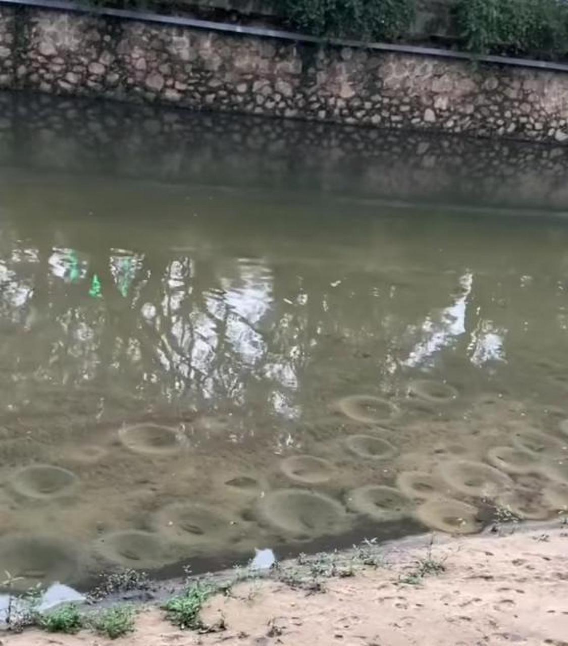 原来鱼窝长这样子