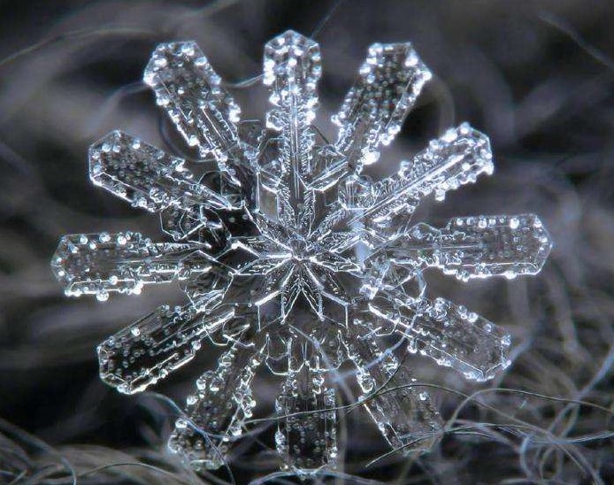 微观世界的雪花