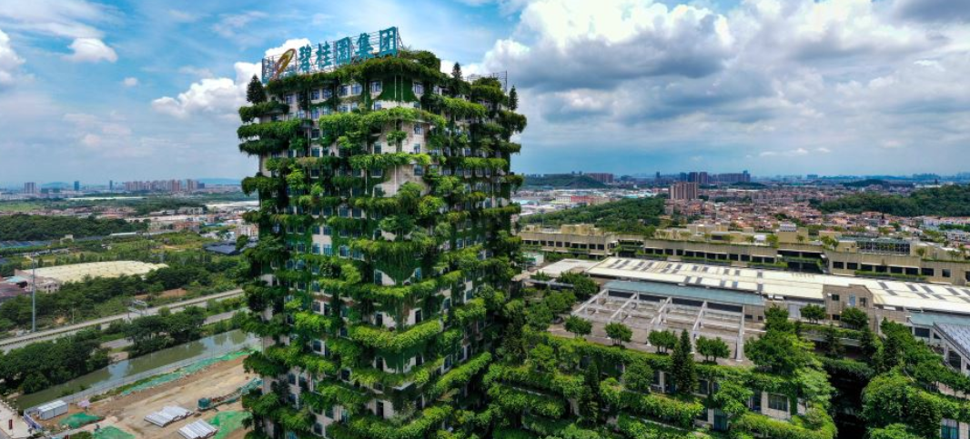 砸锅卖铁支持公司!碧桂园杨家再发声