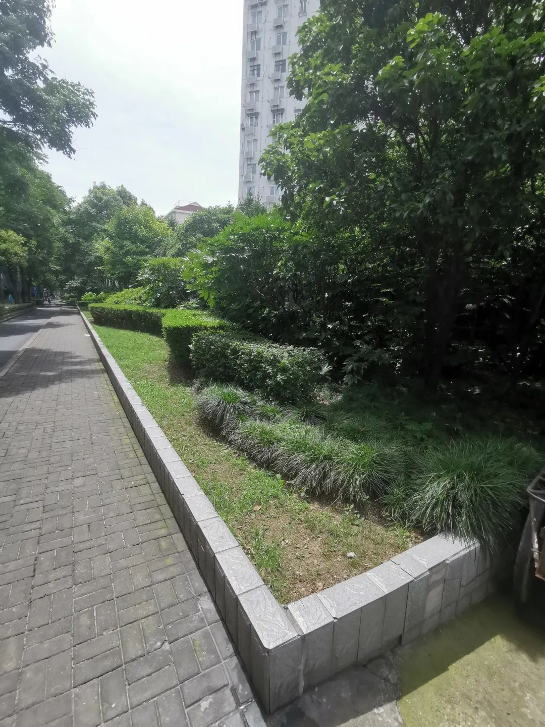 【探索】汶水东路沿线绿化景观提升即将完工,三大重点景观先睹为快