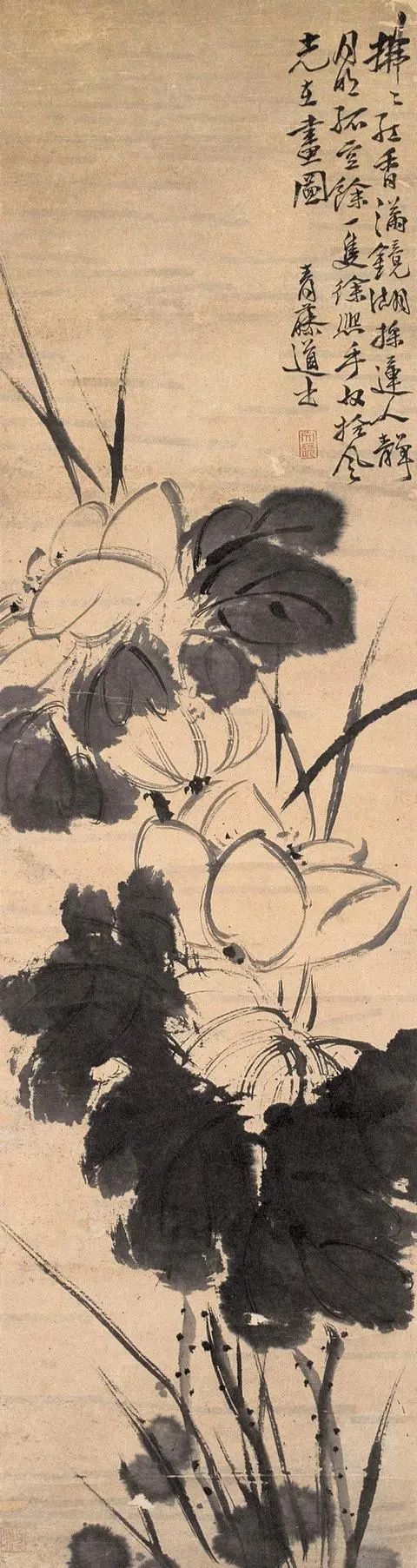 中国泼墨大写意花鸟画的创始人——徐渭,国画大师们的偶像