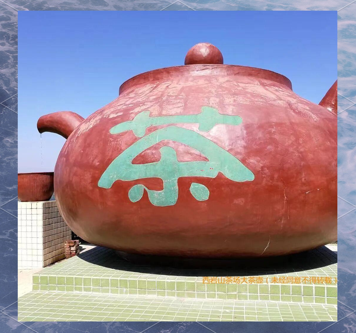 大埔西岩山茶园的崛起与未来规划