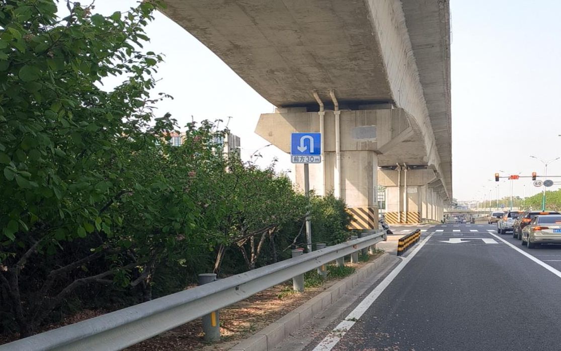 北京交警在全市范围内开展路树遮挡交通设施排查整治工作