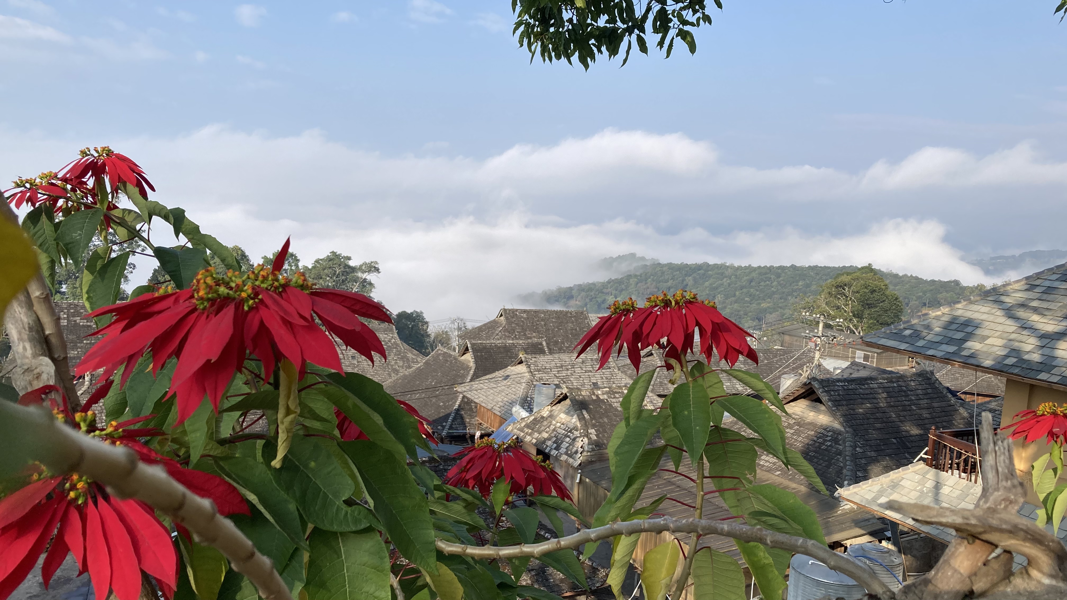 2022年全球最佳旅游目的地——中国云南景迈山