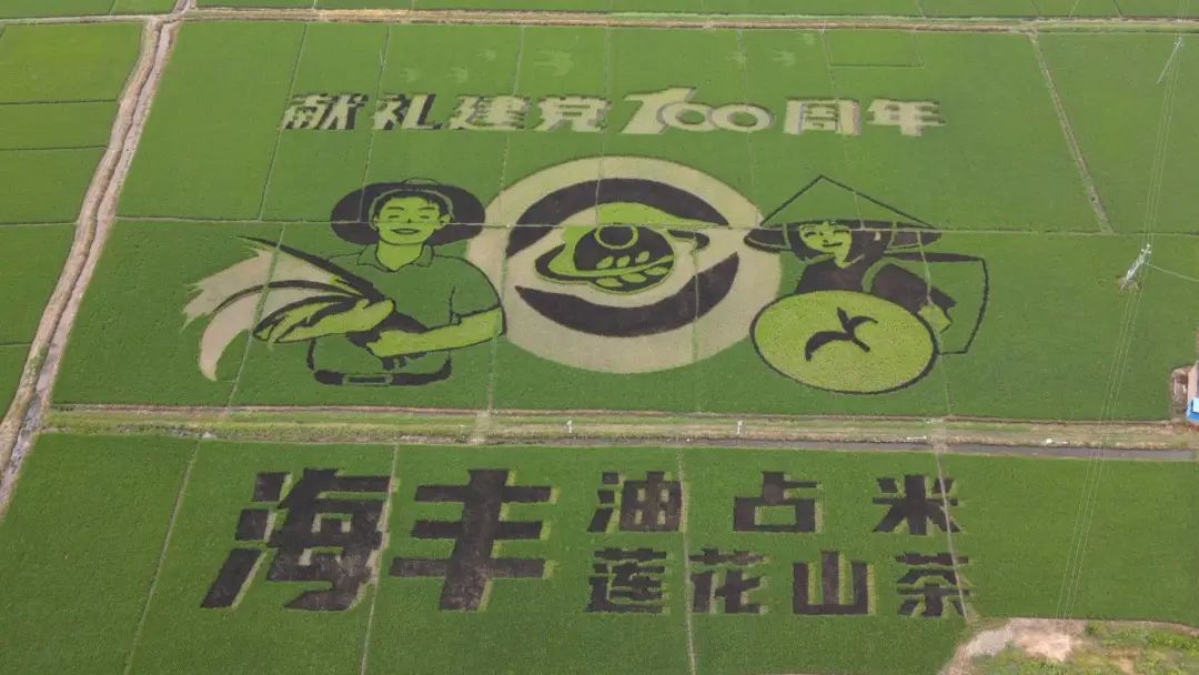 海丰电视台专访可塘镇党委书记 陈若龙