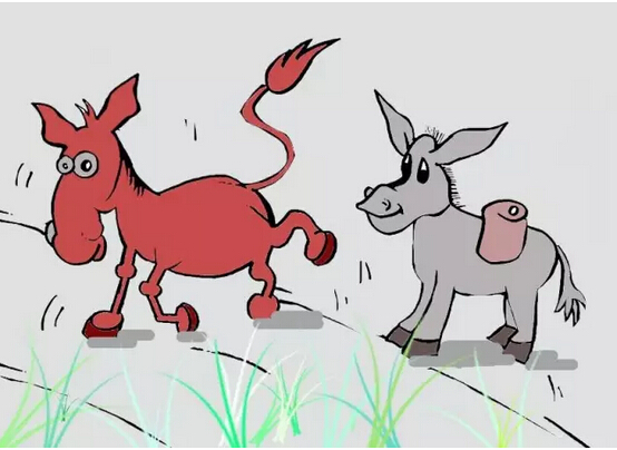 鹅与鸭杂交后代可以生育?有人进行了研究,可能会是发家之路