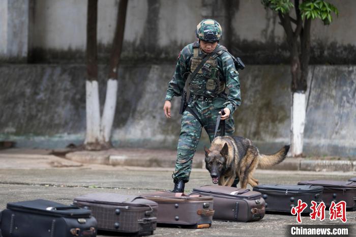 武警军犬训练基地图片