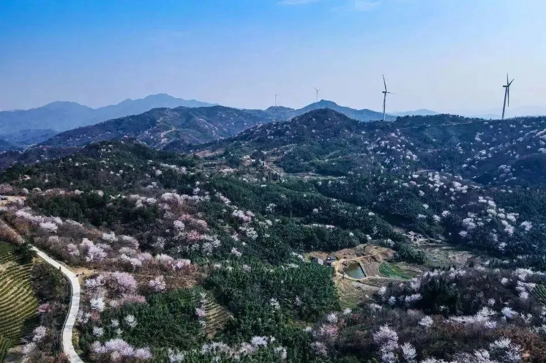 大悟县十八潭景区入选湖北宝藏赏花地!