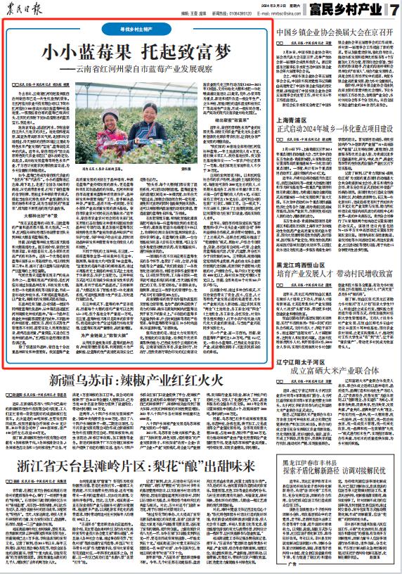 小小蓝莓果 托起致富梦!《农民日报》聚焦红河蒙自蓝莓产业发展