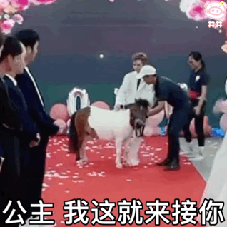殷世航表情包丨为你疯为你狂为你变成殷世航