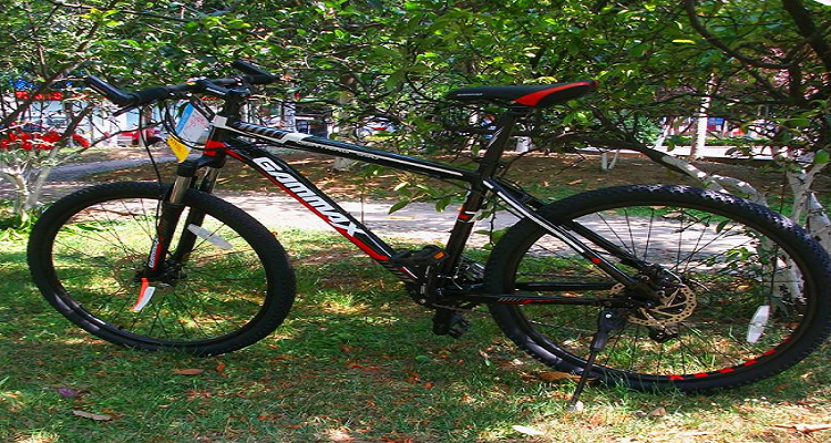 gammax自行车是什么牌子