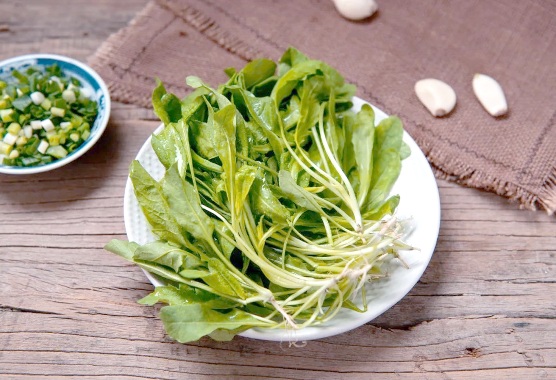 他在诗中赞叹"日日思归饱蕨薇,春来荠美忽忘归",表达了对荠菜美味的