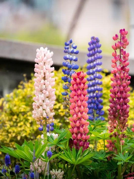 快来,捕捉ecust心动瞬间