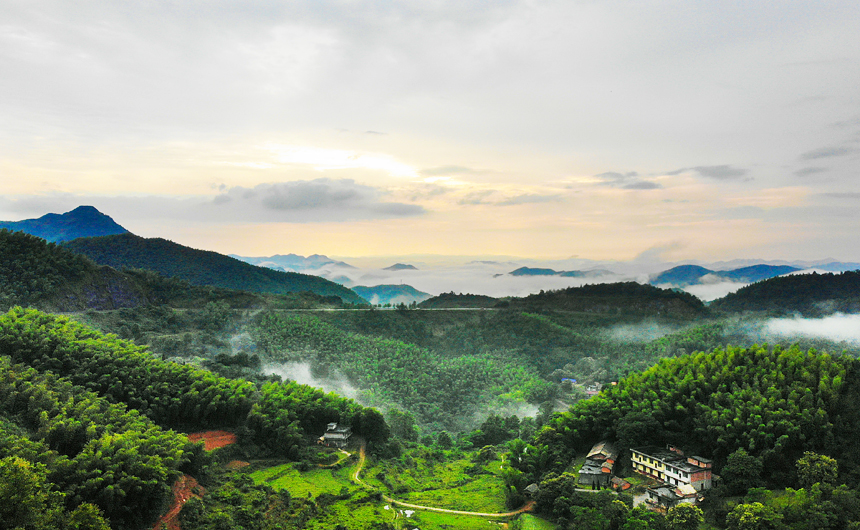 赣西云海 水墨画卷