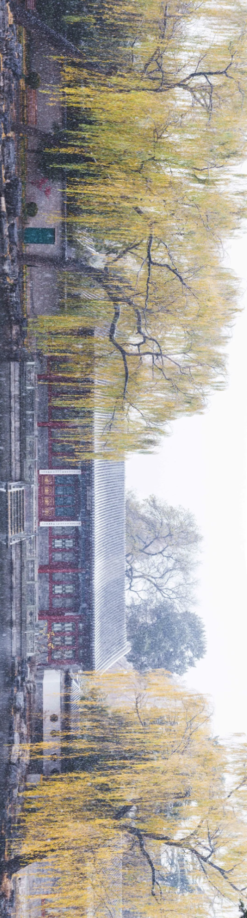 组图!看→2021年海淀第一场雪