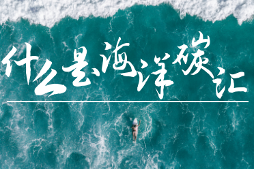 什么是海洋碳汇(知识分享)