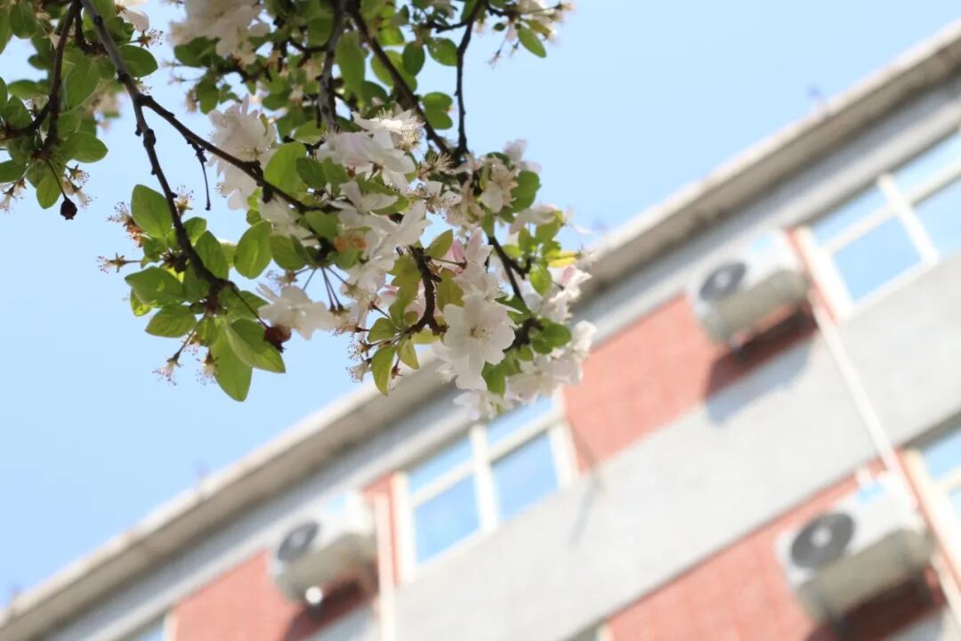 叶蓓蕾摄 (2).jpg