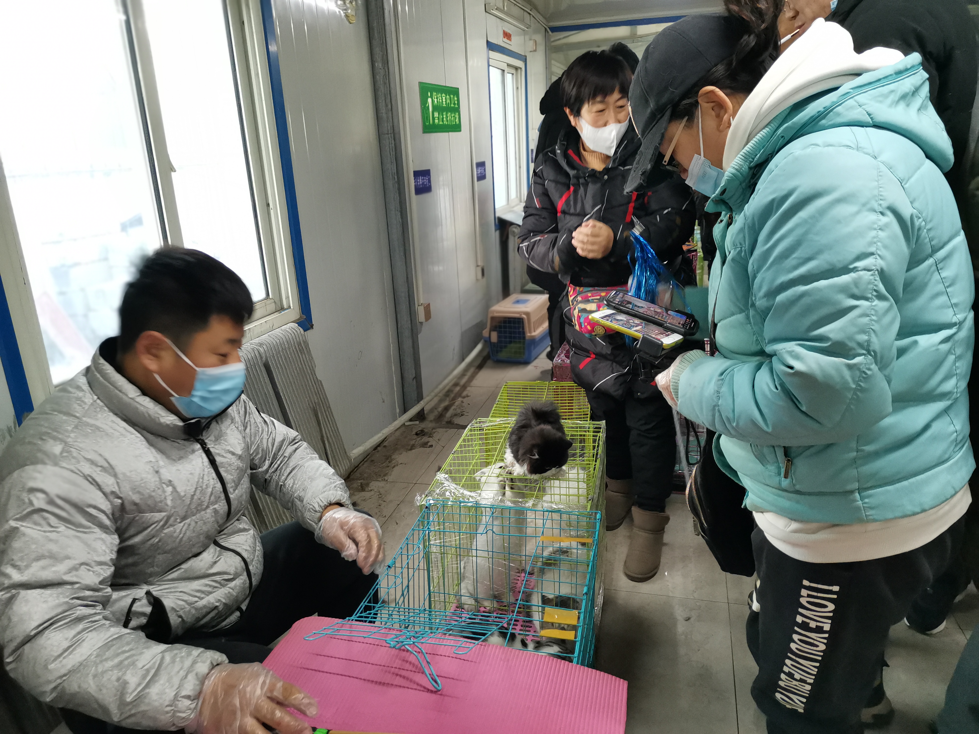 鞍山宠物:"铲屎官"经济瞄准百亿级市场