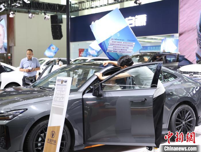 宁夏银川:市民周末逛车展