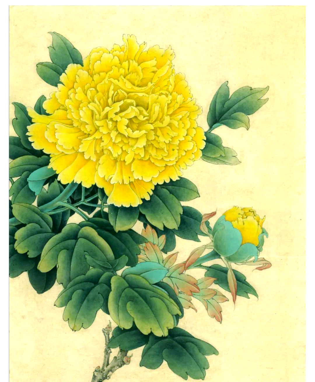 从底色到细节:绘制工笔牡丹名画《花魁姚黄》的深度解析