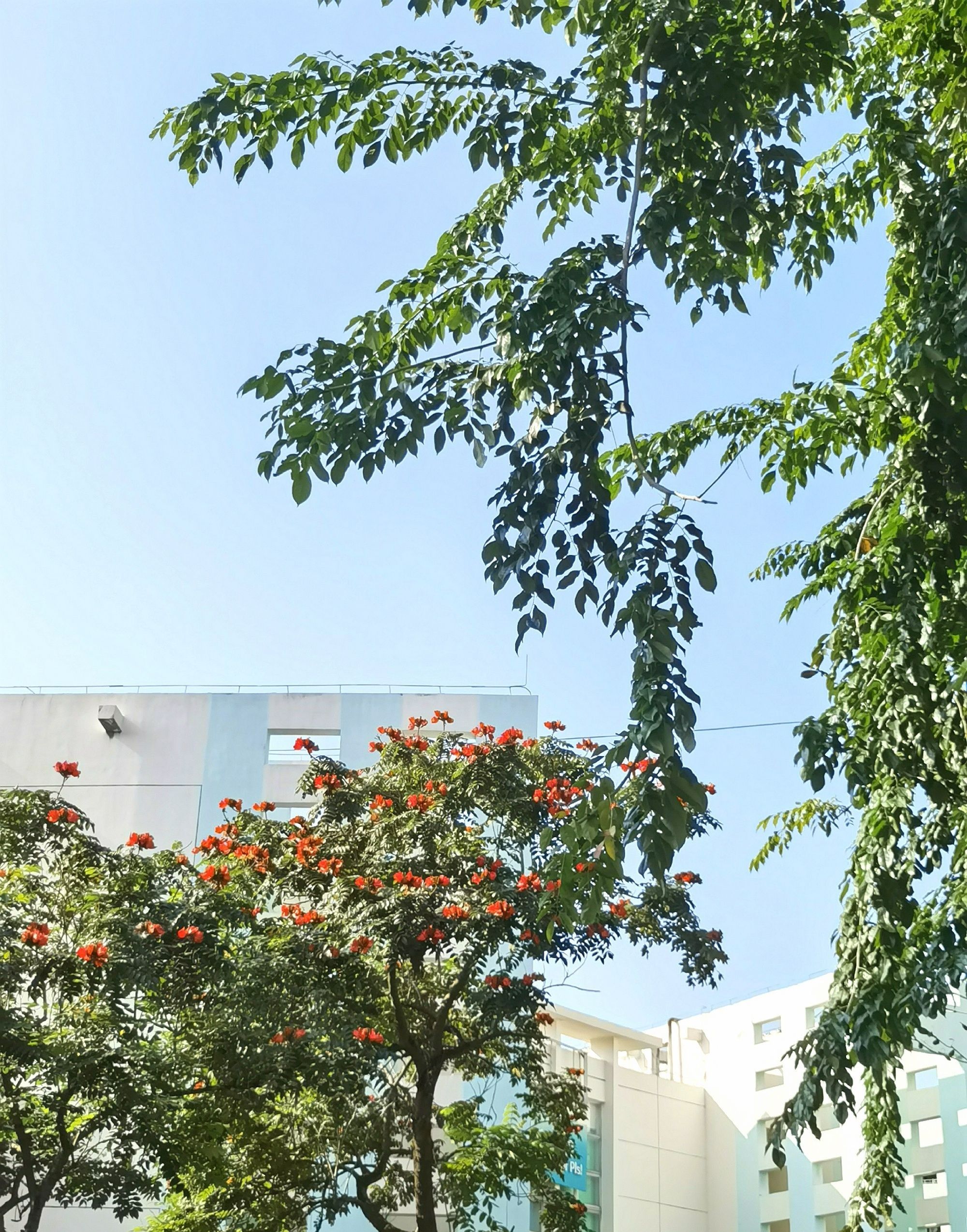 2024考研海南大学法学学硕611&816报考答疑帖