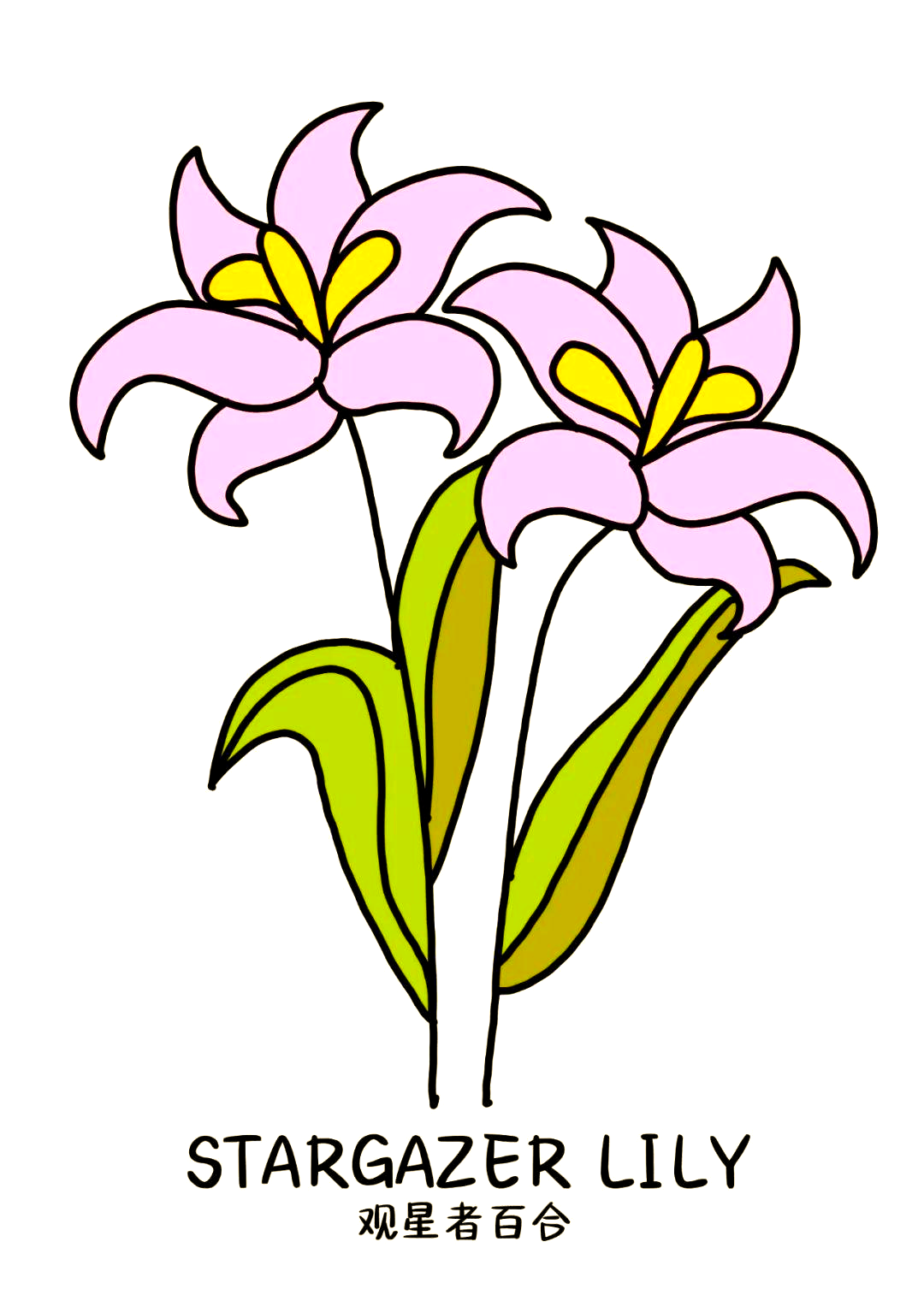 多种花卉简笔画教程