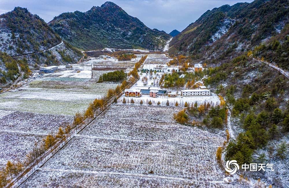 重庆巫溪红池坝高海拔地区迎今冬初雪 雪景美如画