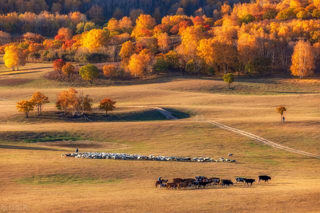 低头看书,抬头看世界