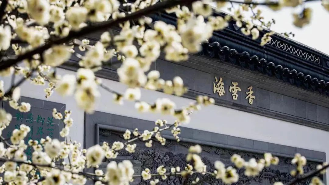 "奋进·花海·书香"南大香雪海摄影比赛邀您参加!