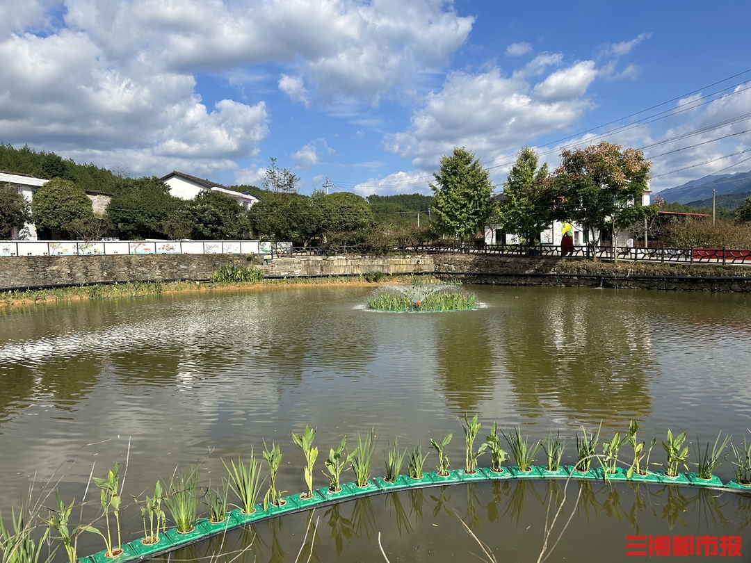 浏阳市大围山镇:小微水体"整形",旧貌换新颜