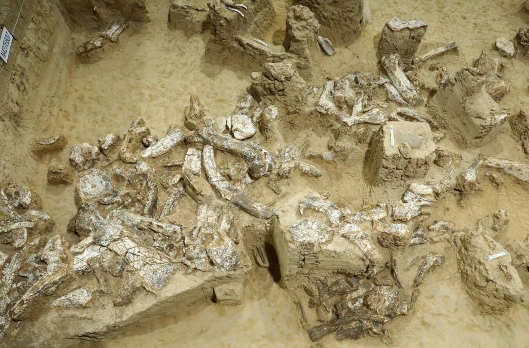 湖北发现"郧县人"3号头骨,亲历者:两次均发现于5月18日不只是巧合