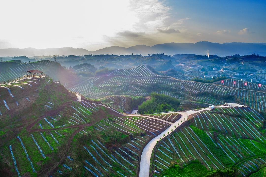 扬帆奋进谱新篇——大竹县2021年经济社会发展侧记