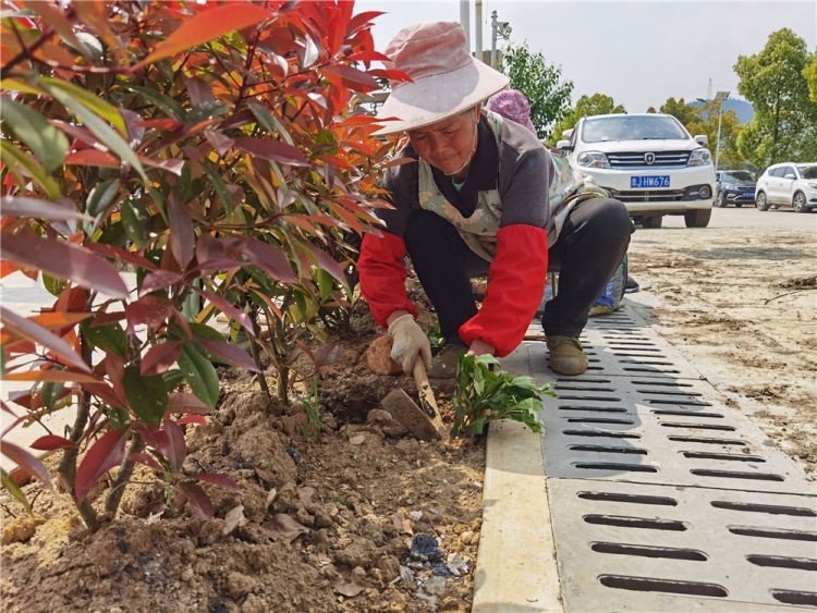 龙里湾滩河新建项目图片