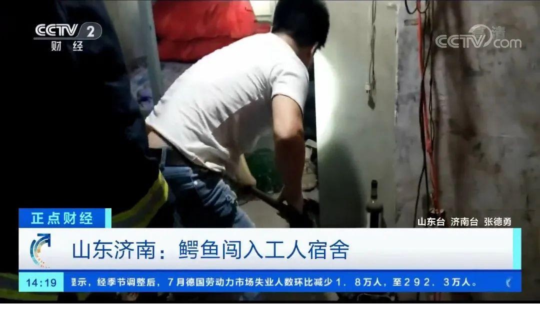 中央新闻财经频道直播(cctv2经济半小时直播)