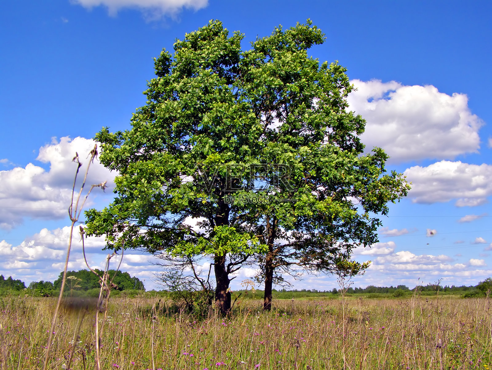 为什么"女强人"让人心动,却难留住男人心?真正的原因是