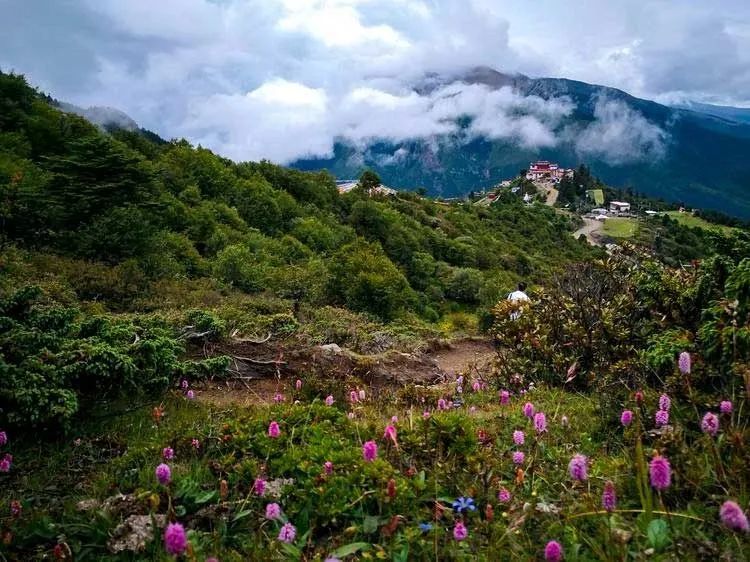 「又见山南」洛扎必打卡之地,游离于天堂与人间的隐修地
