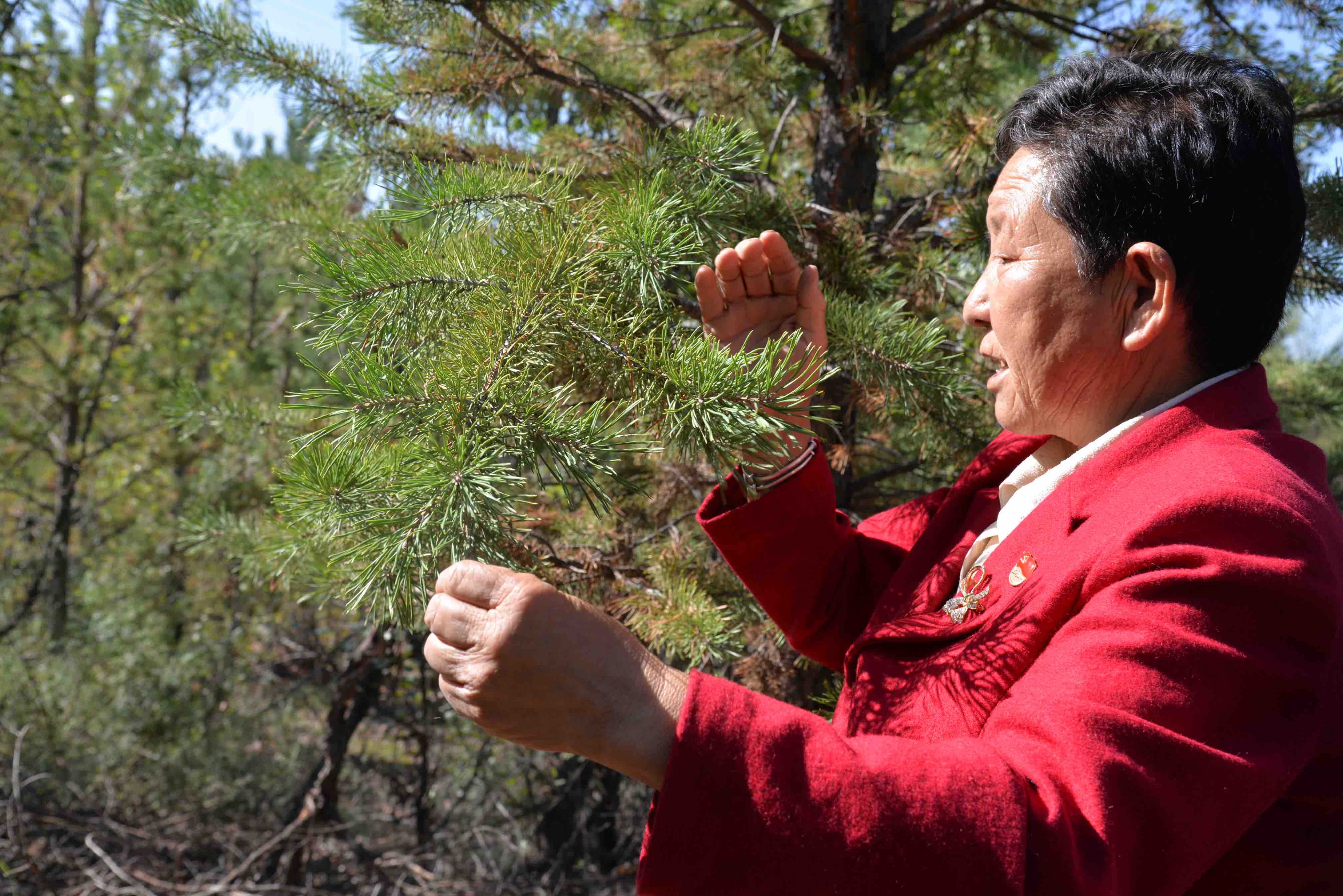 致敬!牛玉琴:用汗水浇灌"绿色希望"