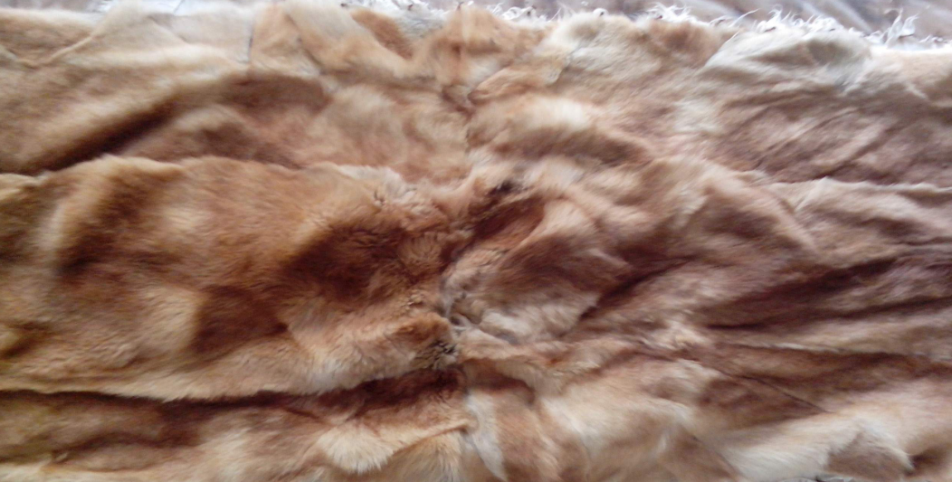 狗皮褥子的危害