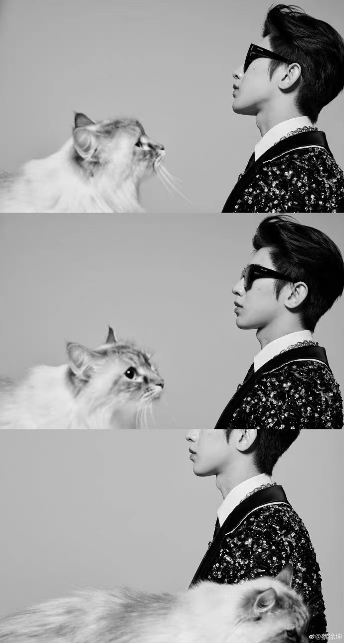 蔡徐坤和猫咪对视!