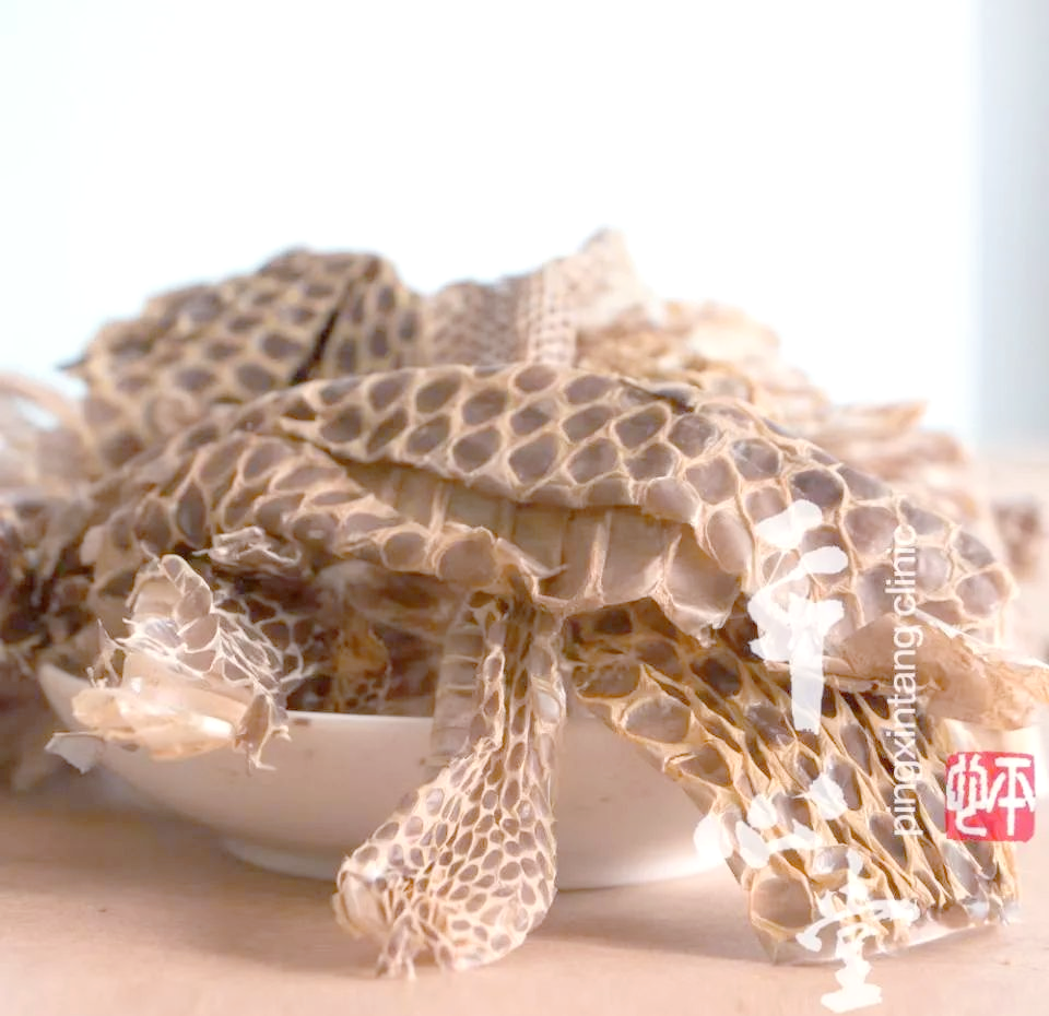 蛇蜕的中药应用与主治详解