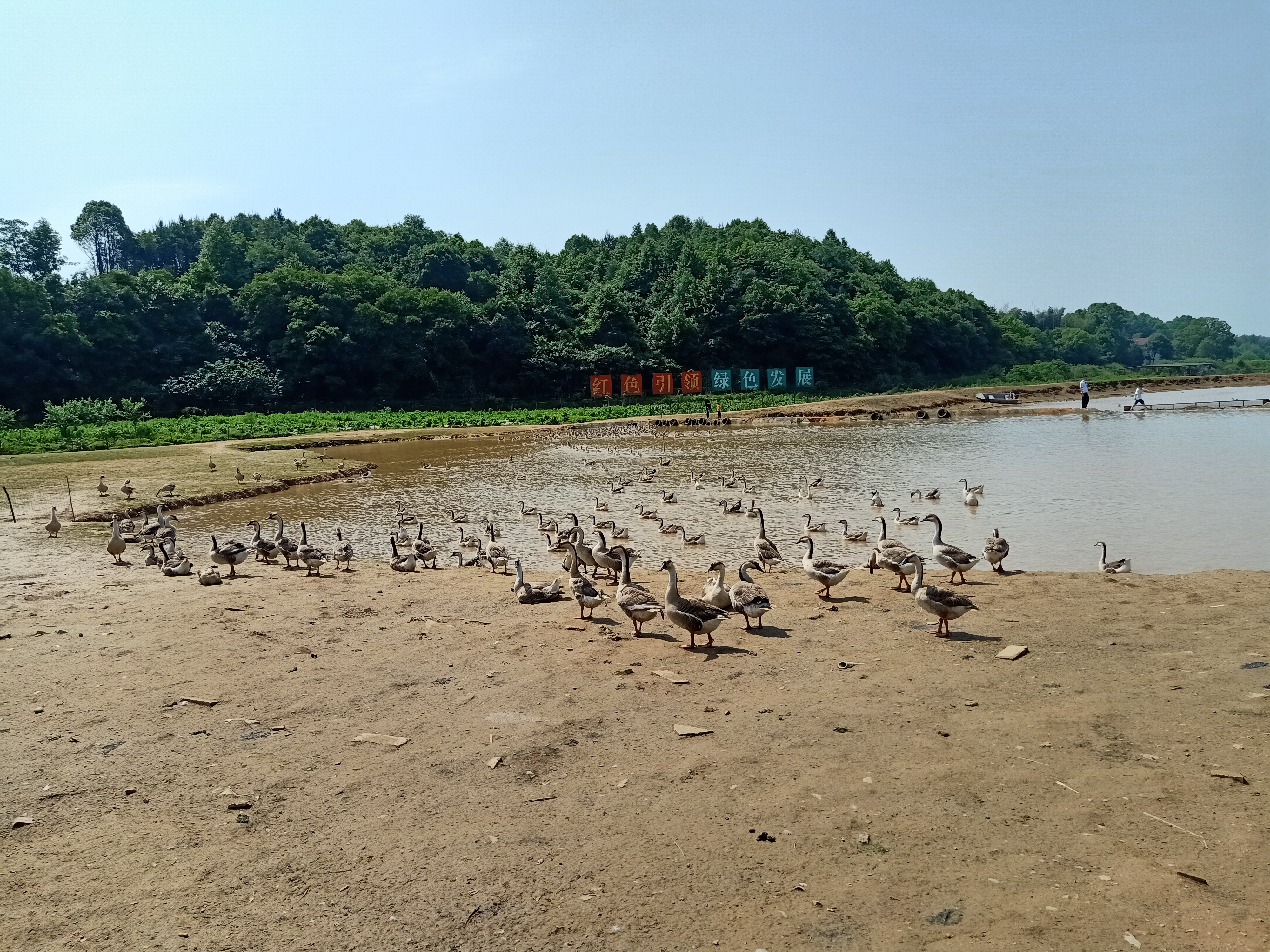 美丽乡村第一村——株洲响水村