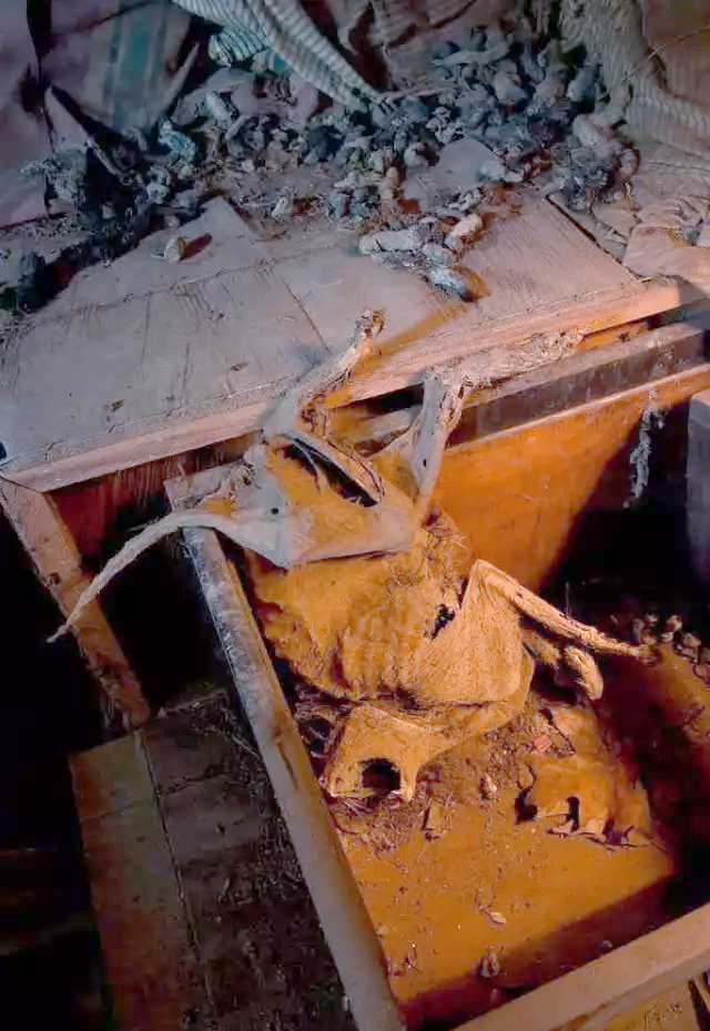 多张令人毛骨悚然的诡异照片,拍摄于医院!