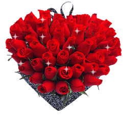 245_251gif 动态图 动图