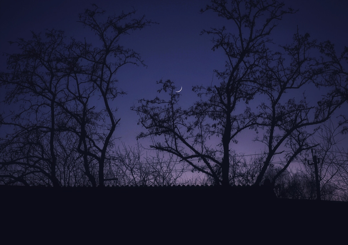 月牙弯弯像什么又像什么?