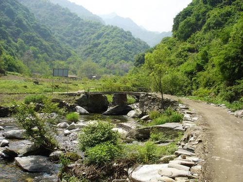 淡乃智:泥 峪(三)