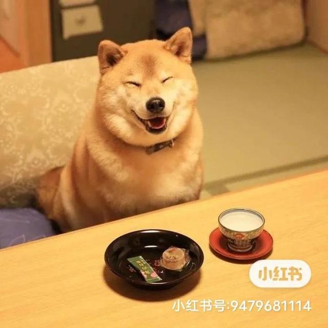 什么奇闻异事都能发生,太搞笑了
