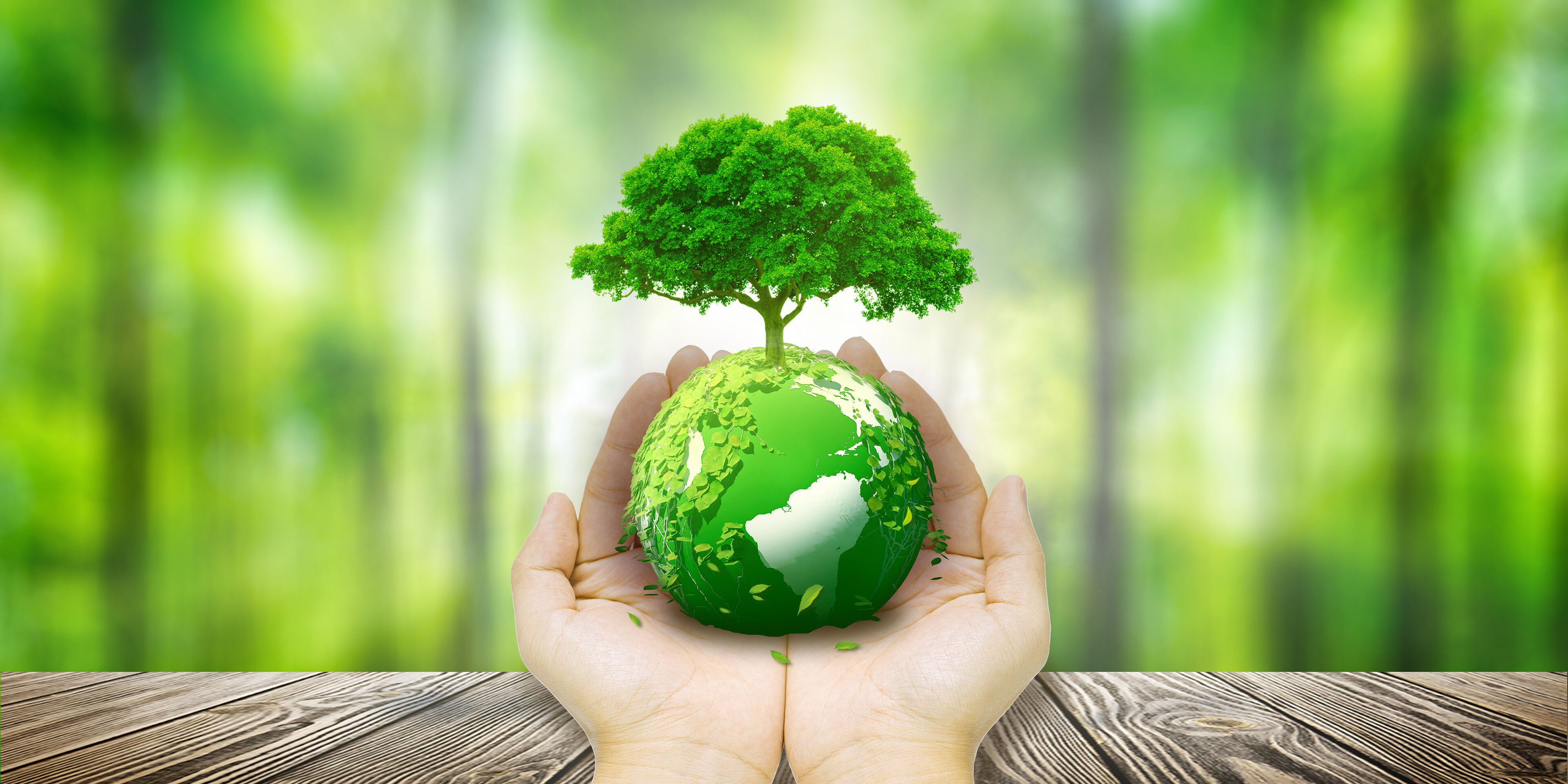 绿色低碳循环"中创足迹"提供产业链全生命周期(lca)解决方案